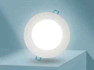 Factor LED downlight